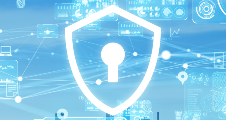 SEGURANÇA CIBERNÉTICA